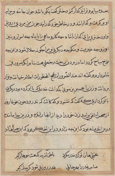 Page from Tales of a Parrot (Tuti-nama): text page by Unknown artist
