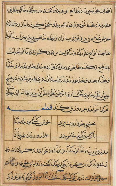 Page from Tales of a Parrot (Tuti-nama): text page by Unknown artist
