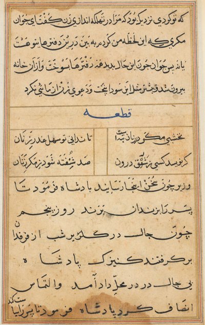 Page from Tales of a Parrot (Tuti-nama): text page by Unknown artist