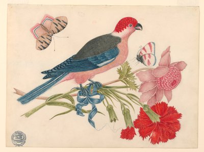 Pink, Red, Blue, and Black Bird on Branch with Blossoms and Butterflies by Unknown artist