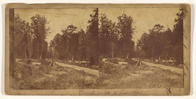 Plank Road to Lowella (recto); Unidentified City (verso) by Unknown artist