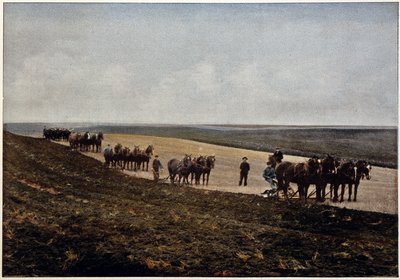Ploughing in the Manitoba Plains, Canada by Unknown artist
