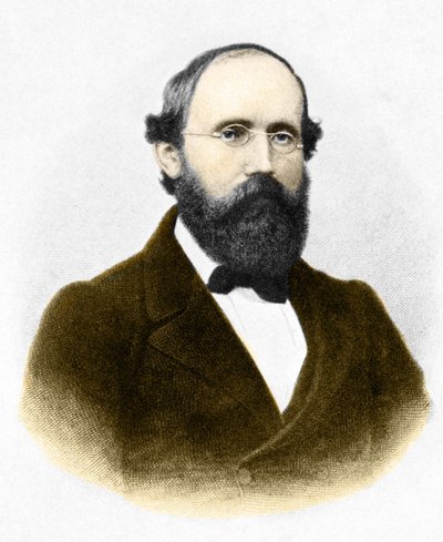 Portrait of Bernhard Riemann, German mathematician (1826-1866) by Unknown artist