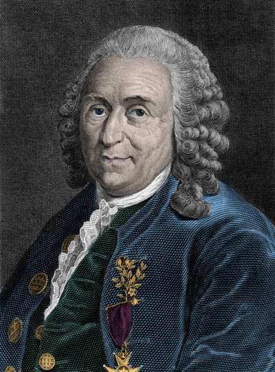 Portrait of Charles Linne (Carl von Linne, Linneus 1707-1778), Swedish Naturalist by Unknown artist