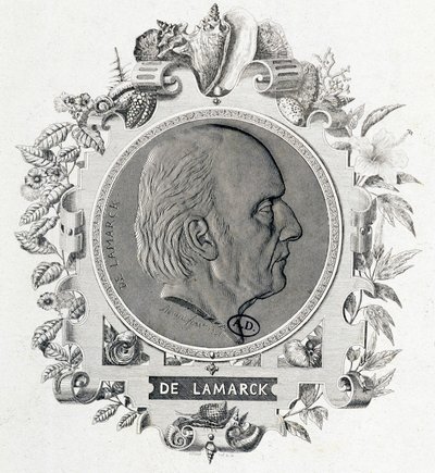 Portrait of Jean Baptiste Lamarck - Engraving by Unknown artist