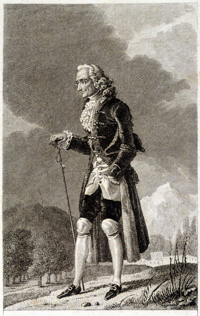 Portrait of Voltaire (1694-1778), French Writer and Philosopher, Elderly by Unknown artist