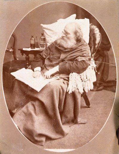 Portrait of Giuseppe Garibaldi in Caprera in 1882 by Unknown artist