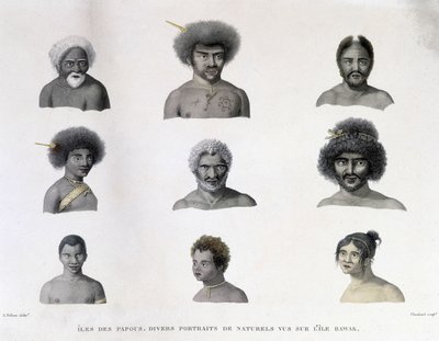 Portraits of the Papua from Rawak Island by Unknown artist