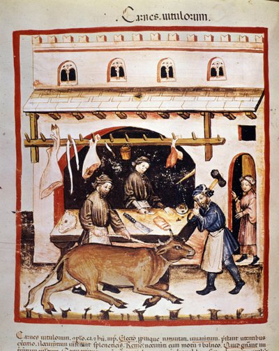 Production and sale of beef: a beef is stunned. Illumination from the milking of medicine and dietetics 