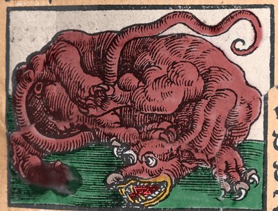 Representation of a Dragon (Engraving from 