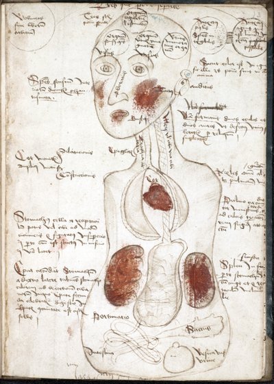 Representation of an Aristotelian Theory of Consciousness (From: De corpore et anima) - Anonymous - 1497 - Watercolour on parchment - John Rylands University Library by Unknown artist