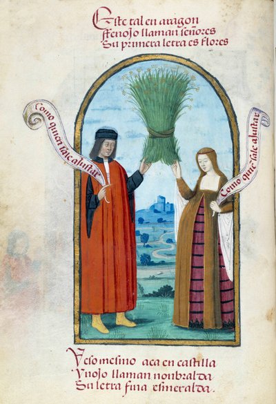 Representation of the Catholic kings Ferdinand II and Isabella 1st of Castile by Unknown artist