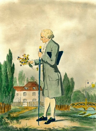 Jean Jacques Rousseau Picking Flowers in Ermenonville by Unknown artist
