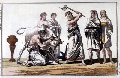 Sacrifice of a bull among the Celts. 19th century engraving. by Unknown artist