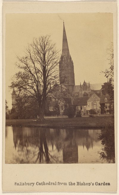 Salisbury Cathedral from the Bishop