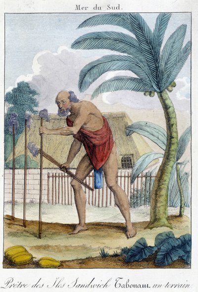 Sandwich Islands priest beating a field by Unknown artist