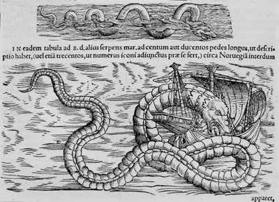 Sea snake, marine creature after Conrad Gesner by Unknown artist