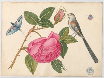 Small Black-and-White Bird on Rose Leaf with Blossoms and Butterflies by Unknown artist