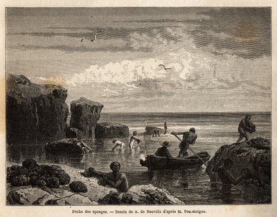 Sponge fishing by the Islanders of Anastasia Island by Unknown artist