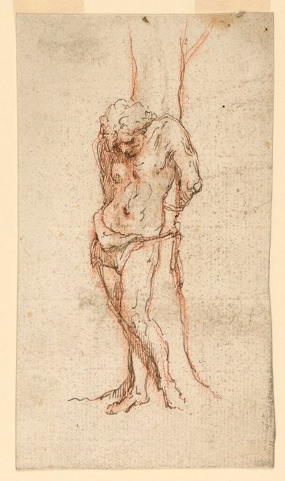 St. Sebastian Fettered to a Tree by Unknown artist