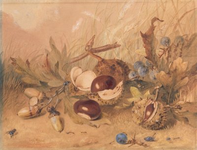 Still Life with Acorns and Horse Chestnuts by Unknown artist
