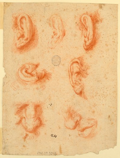 Studies of Five Ears, Noses and a Mouth by Unknown artist