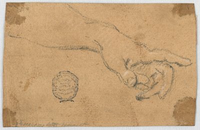 Study: An Outstretched Left Forearm and Hand by Unknown artist