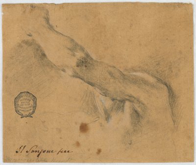 Study: The Left Arm and the Neighboring Parts of the Body of an Elderly Man by Unknown artist