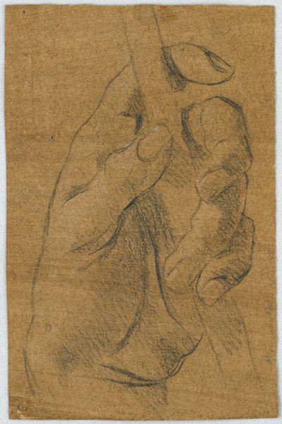 Study: The Left Hand of a Man with a Stick by Unknown artist