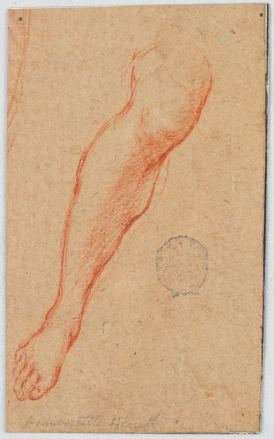 Study for the Right Leg of a Seated Woman by Unknown artist
