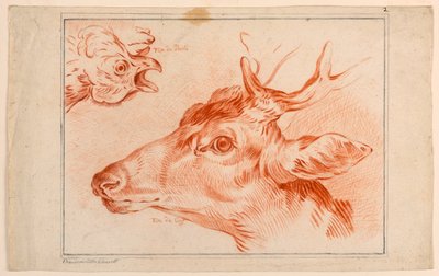 Study of the Heads of a Chicken and Stag by Unknown artist