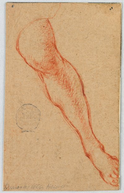 Study of the Left Leg of a Seated Woman by Unknown artist