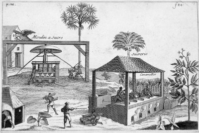 Sugar manufacturing: Sugar mill and sugar mill - in 