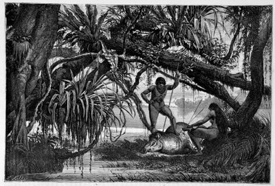 Tapir Killed by Indians of Brazil - in Round the World, 2nd Semester 1874 by Unknown artist
