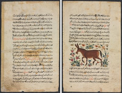 Text Page, Persian Prose (Recto); Khar (Ass) (Verso) by Unknown artist
