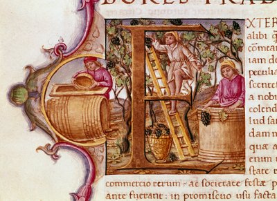 The Harvest by Unknown artist