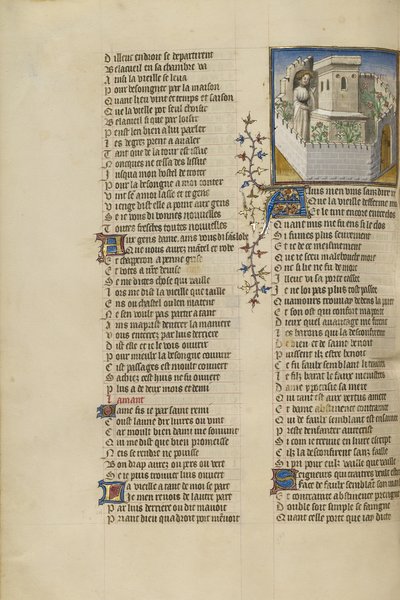 The Lover in the Castle
