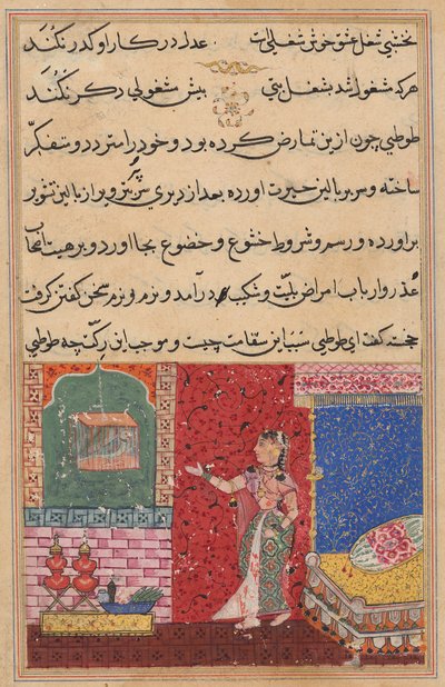 The Parrot Addresses Khujasta at the Beginning of the Fifteenth Night, from a Tuti-nama (Tales of a Parrot) by Unknown artist