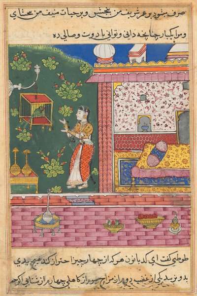 The Parrot Addresses Khujasta at the Beginning of the Thirtieth Night (Tales of a Parrot) by Unknown artist
