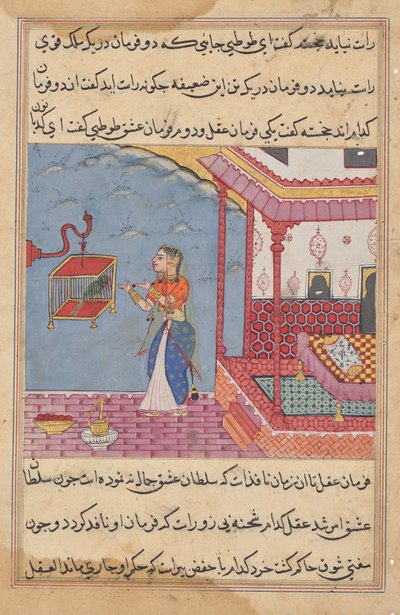 The Parrot Addresses Khujasta at the Beginning of the Twenty-Fourth Night, from Tales of a Parrot by Unknown artist