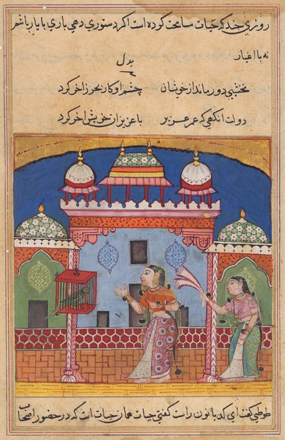 The Parrot Addresses Khujasta at the Beginning of the Twenty-second Night, from a Tuti-nama (Tales of a Parrot) by Unknown artist