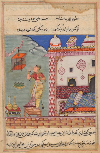 The Parrot Addresses Khujasta at the Beginning of the Twenty-seventh Night (Tales of a Parrot) by Unknown artist