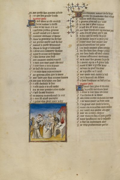 The Personification of Nature Making Birds, Animals, and People by Unknown artist