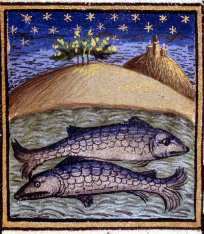 The Pisces. Miniature of a horoscope. 15th century manuscript. Bibl. Trivulziana, Milan by Unknown artist
