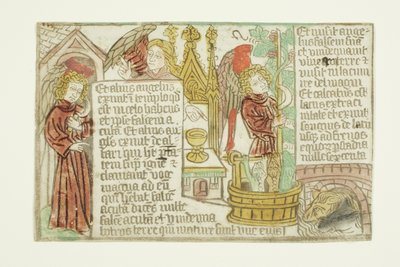 The Vintage of the Grapes of the Vine, from the Blockbook Apocalypse by Unknown artist