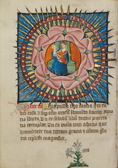 The Virgin and Child in a Pink Rose with a White Lily by Unknown artist