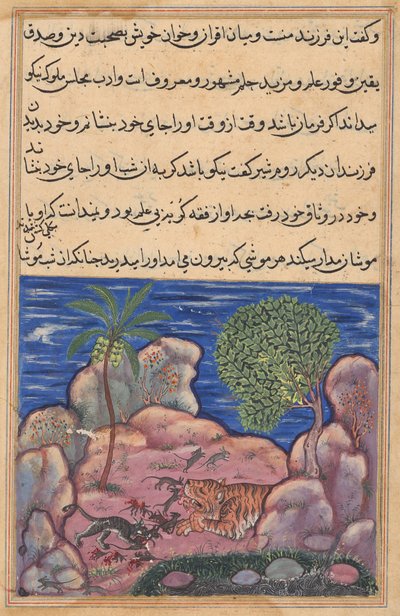 The cat attacks the mice which disturb the lion, from a Tuti-nama (Tales of a Parrot): Fifteenth Night by Unknown artist