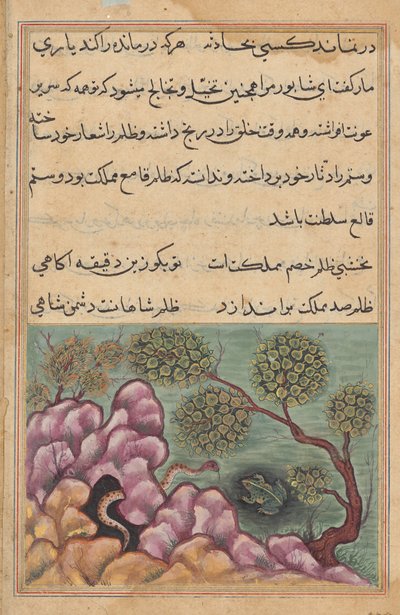 The dethroned frog Shapur seeks the help of the serpent (Tales of a Parrot: Twenty-sixth Night) by Unknown artist