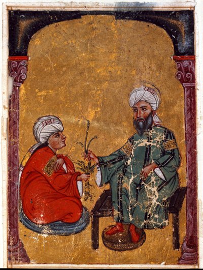 The doctor and botanist Pedanius Dioscorides explaining to one of his students the virtues of plants derived from his treatise 