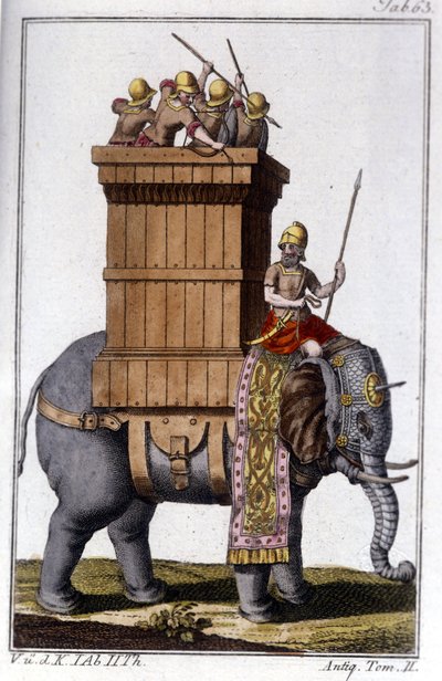 The elephant that Carthaginians used as an animal for work and war. Engraving in 